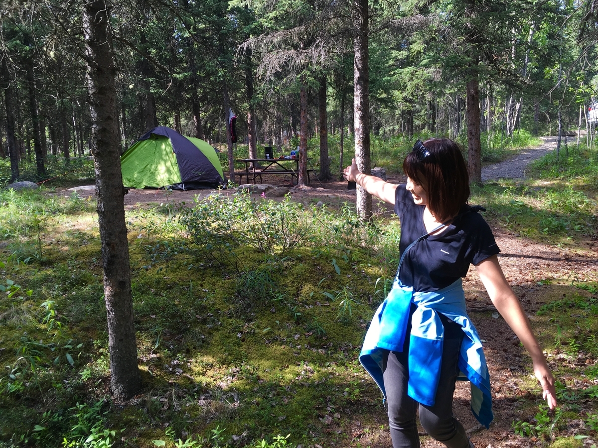 f:id:ff_galene:20200527233045j:plain f:id:ff_galene:20200527233045j:plain