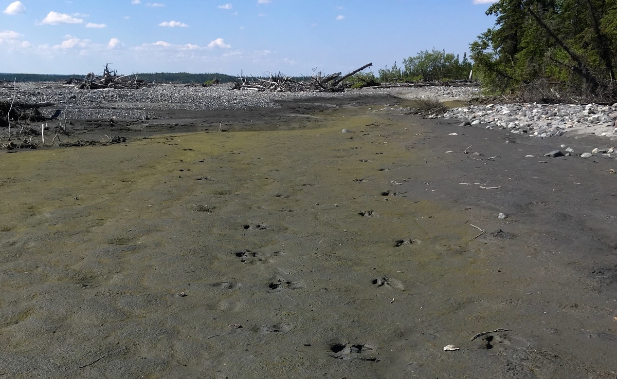 f:id:ff_galene:20210117191653j:plain