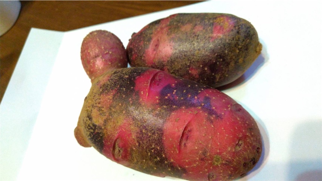 f:id:ffc2023:20240702175135j:image