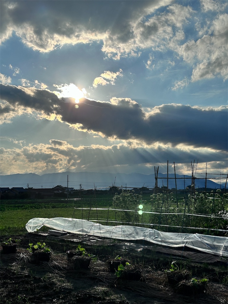 f:id:ffc2023:20240705192705j:image f:id:ffc2023:20240705192705j:image