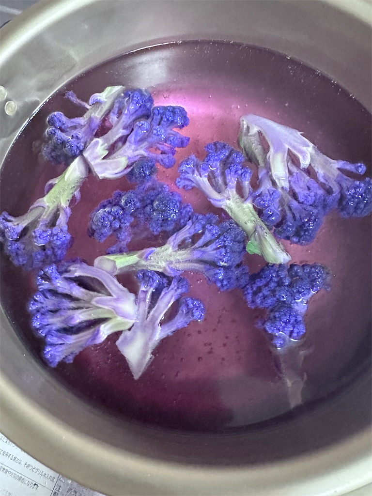 f:id:ffc2023:20240707085812j:image f:id:ffc2023:20240707085812j:image