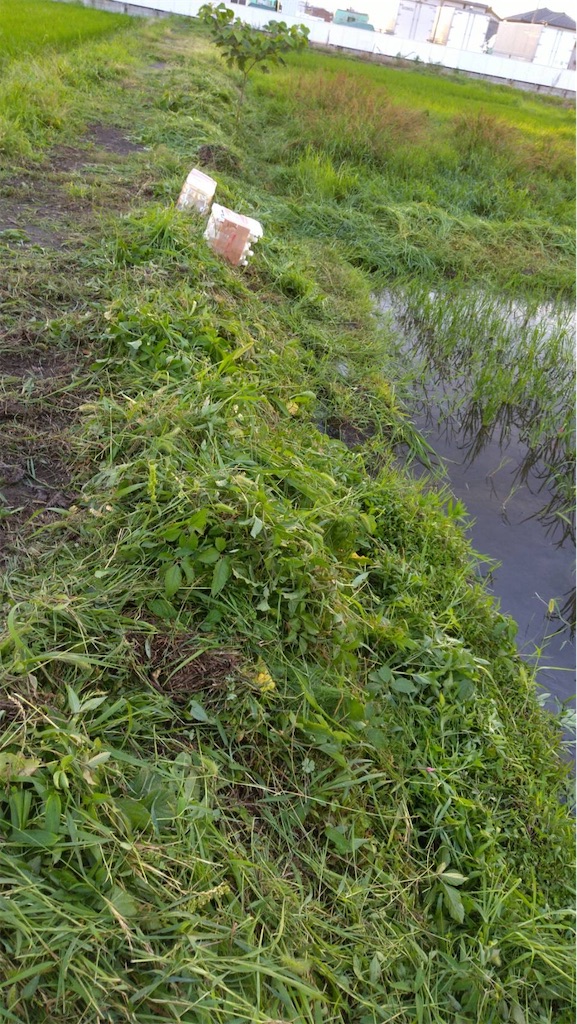 f:id:ffc2023:20240711195331j:image