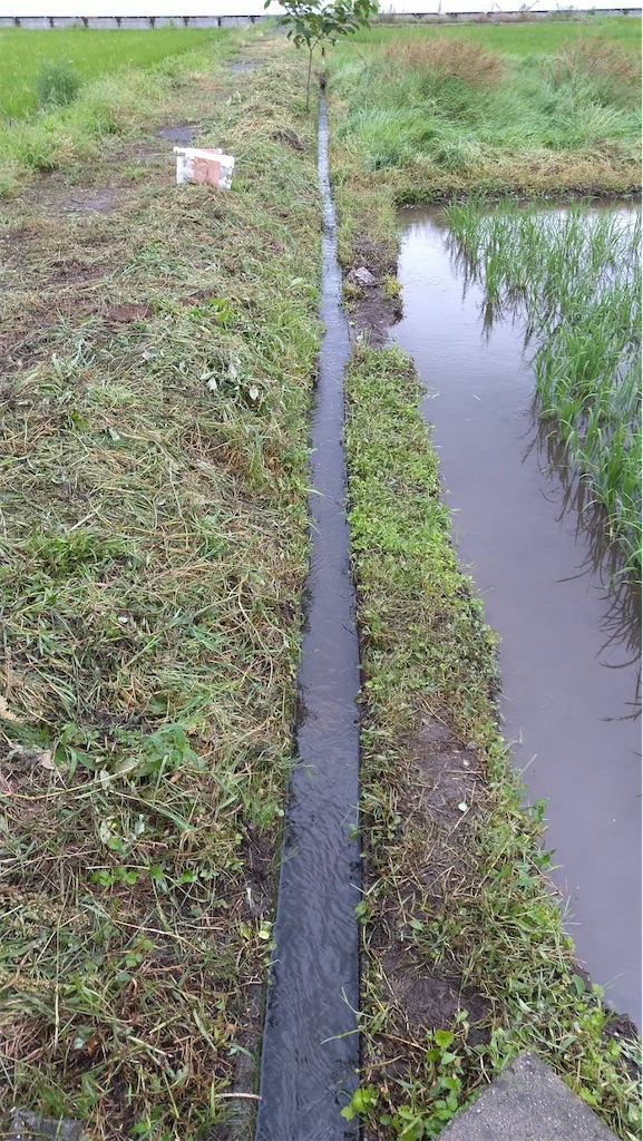 f:id:ffc2023:20240711195422j:image