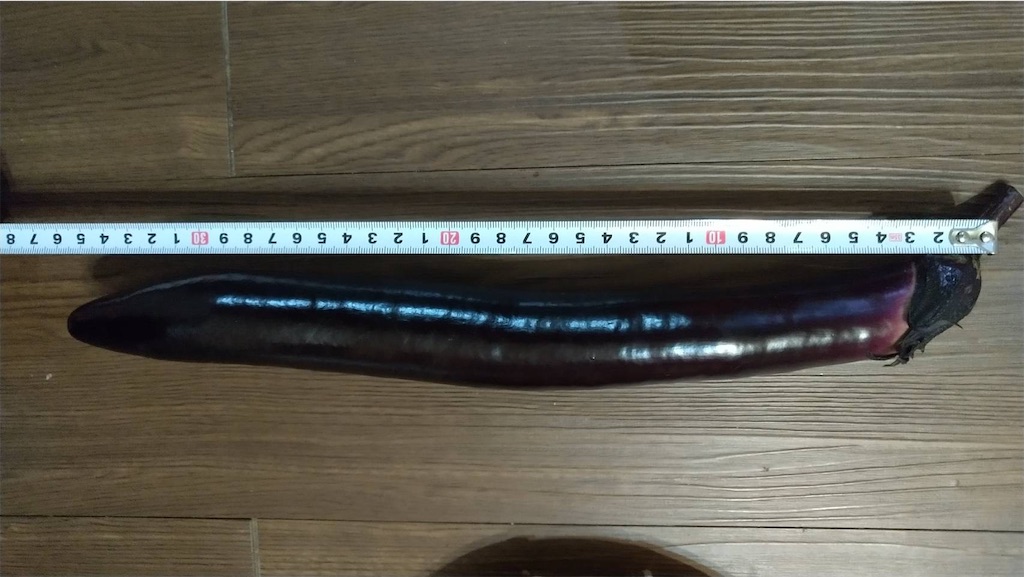 f:id:ffc2023:20240727195147j:image