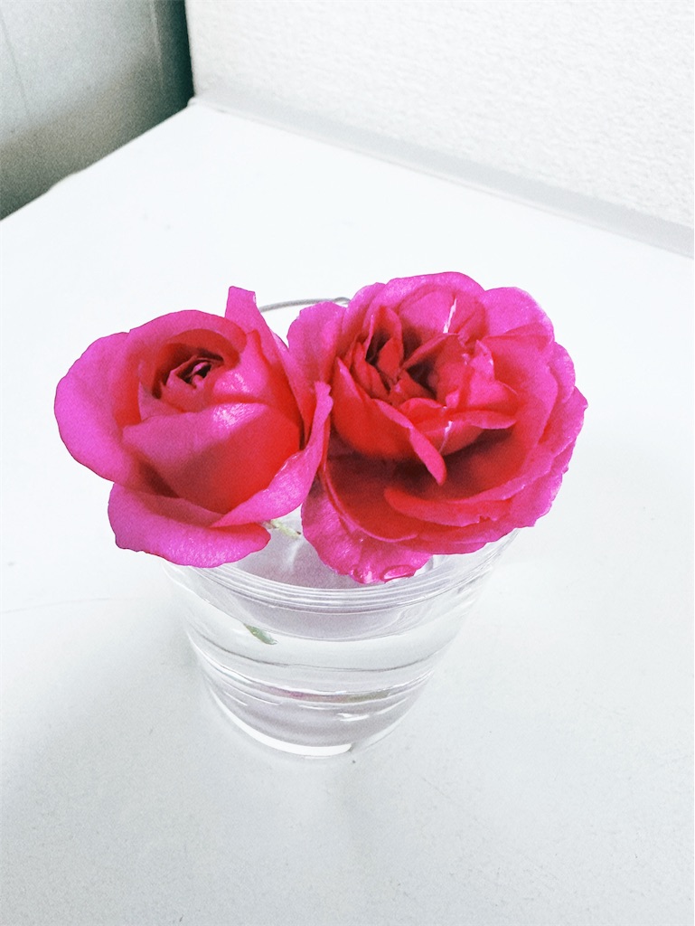 f:id:ffc2023:20250420123915j:image