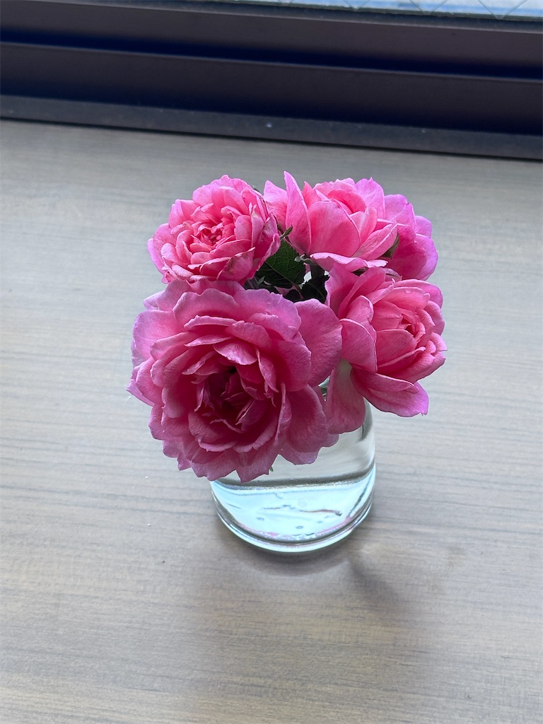f:id:ffc2023:20250602020208j:image