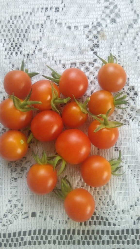 f:id:ffc2023:20250720223027j:image