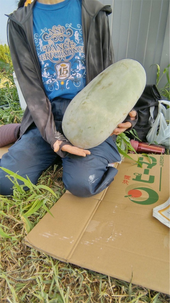 f:id:ffc2023:20250809111535j:image f:id:ffc2023:20250809111535j:image