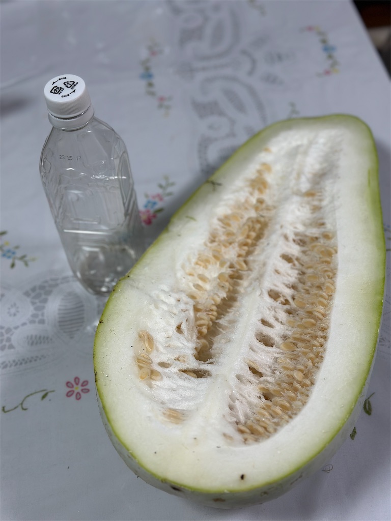 f:id:ffc2023:20250829104503j:image f:id:ffc2023:20250829104503j:image