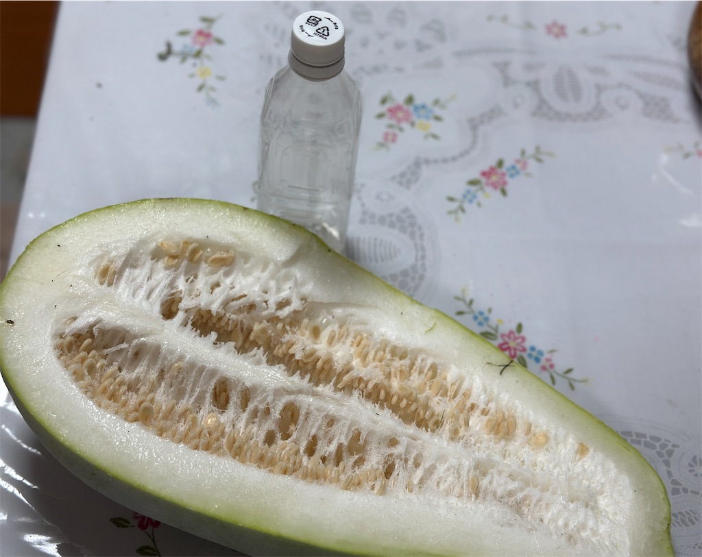 f:id:ffc2023:20250829104505j:image f:id:ffc2023:20250829104505j:image