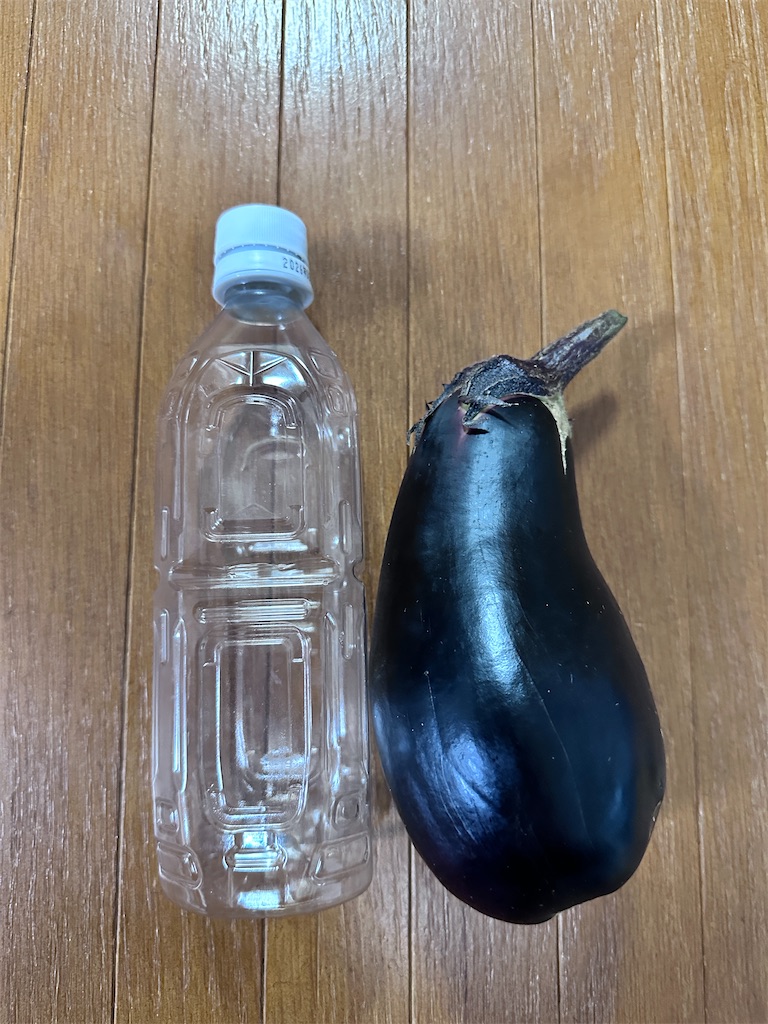 f:id:ffc2023:20250829104723j:image f:id:ffc2023:20250829104723j:image