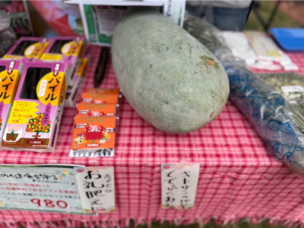 f:id:ffc2023:20251025144140j:image f:id:ffc2023:20251025144140j:image