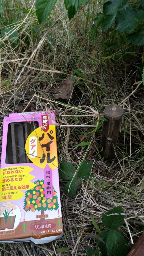 f:id:ffc2023:20251103085907j:image f:id:ffc2023:20251103085907j:image