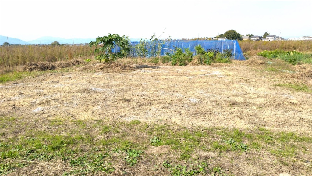 f:id:ffc2023:20251111173746j:image f:id:ffc2023:20251111173746j:image