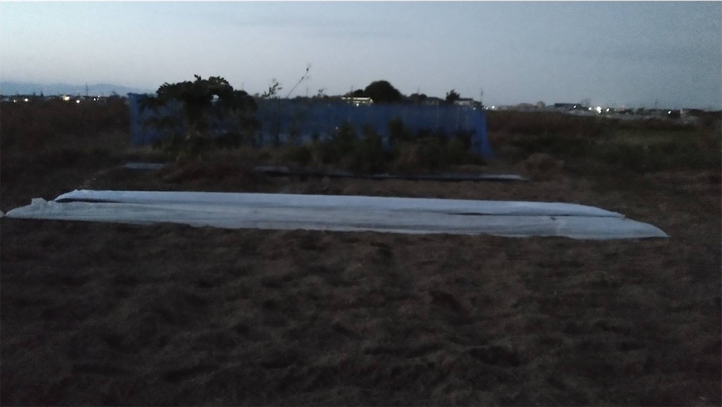 f:id:ffc2023:20251111173921j:image f:id:ffc2023:20251111173921j:image