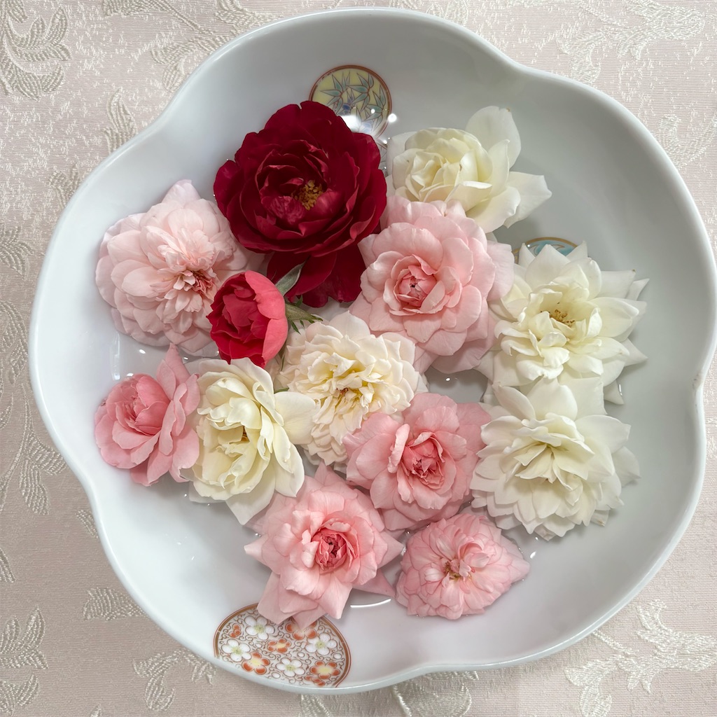 f:id:ffern12:20251002094925j:image f:id:ffern12:20251002094925j:image