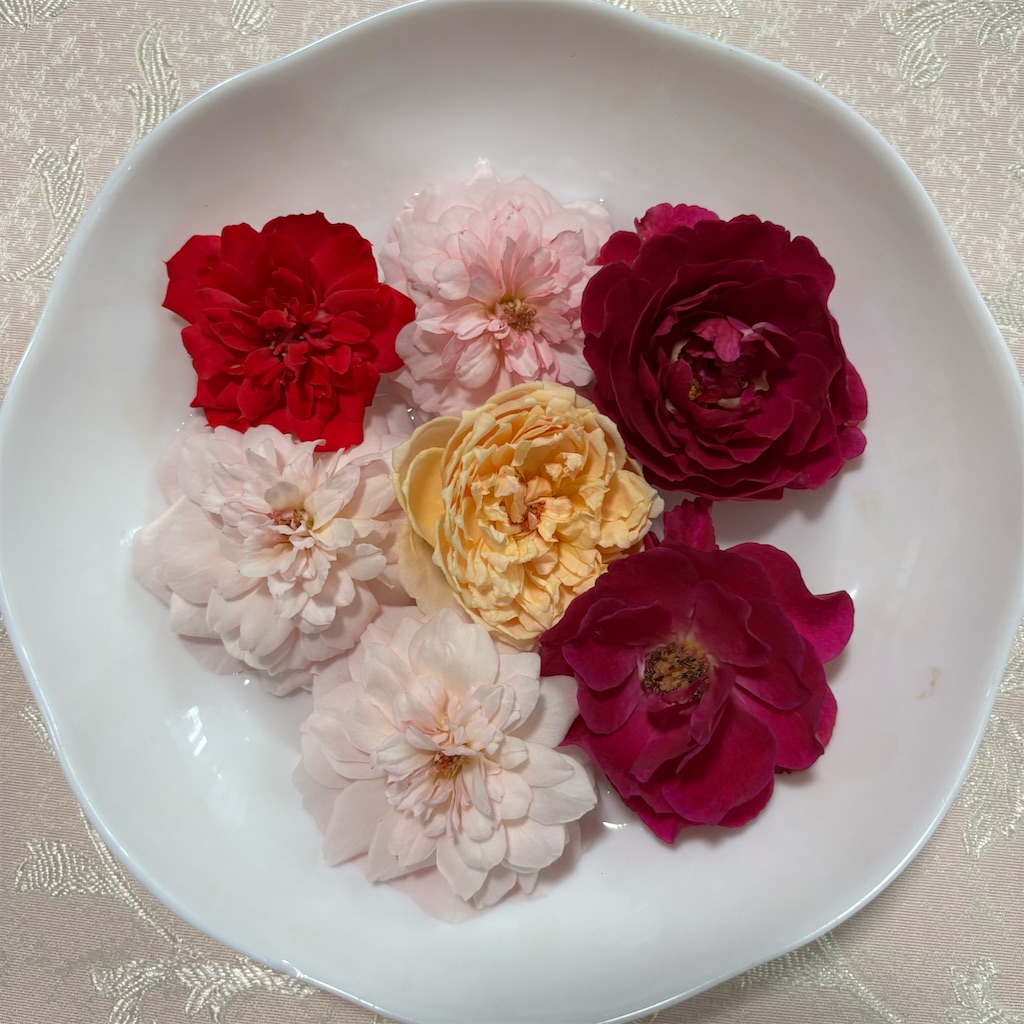 f:id:ffern12:20251002094929j:image f:id:ffern12:20251002094929j:image