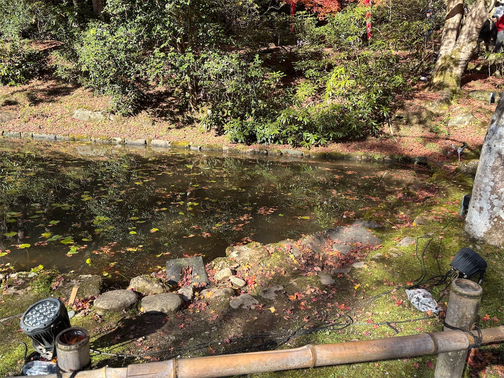 f:id:ffern12:20251130111444j:image