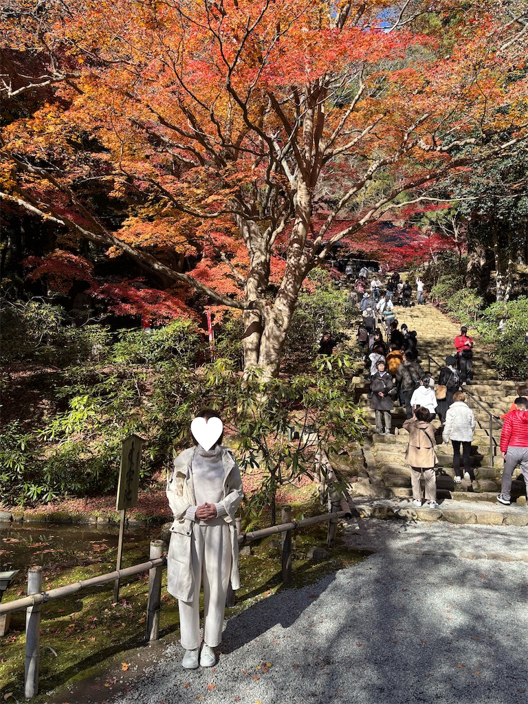 f:id:ffern12:20251130111610j:image