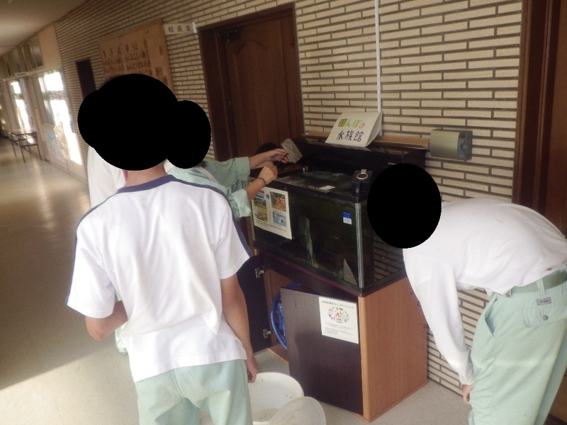 イメージ 4