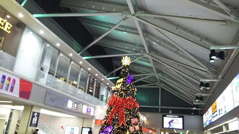 クリスマスツリー