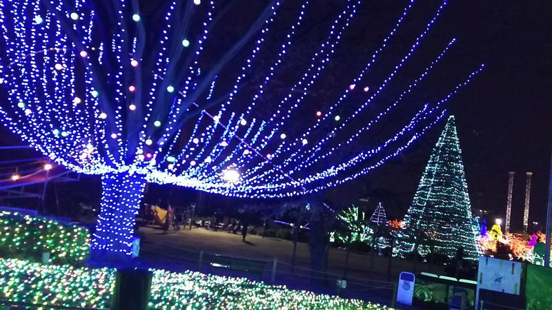 遊園地のイルミネーション 遊園地のイルミネーション