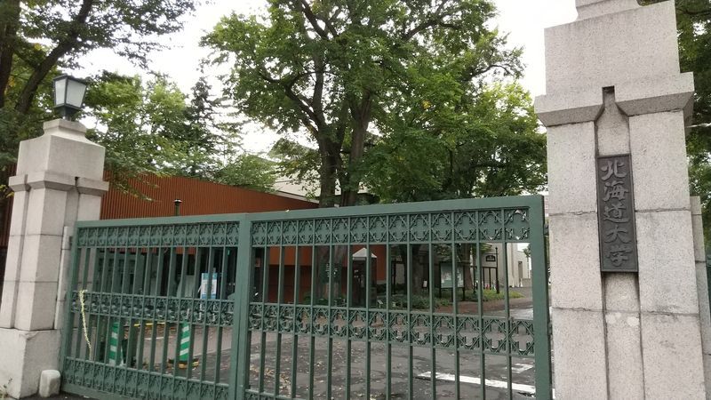 f:id:ffoojj:20201104221003j:plain