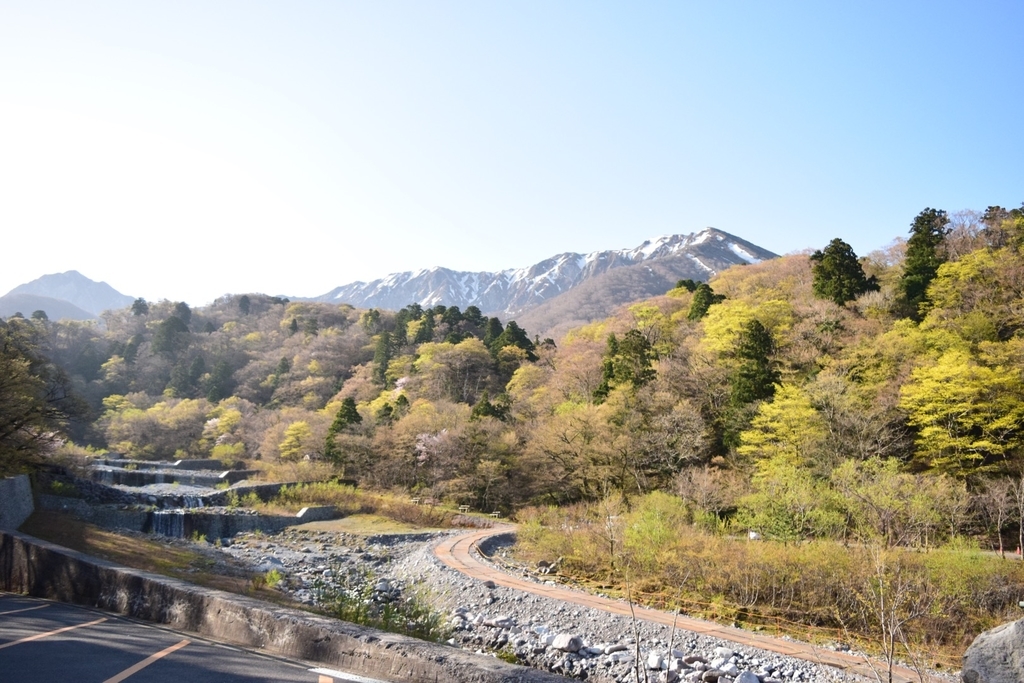 f:id:ffshin:20181113213215j:plain