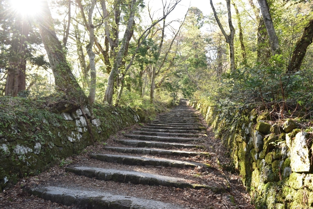 f:id:ffshin:20181113213933j:plain