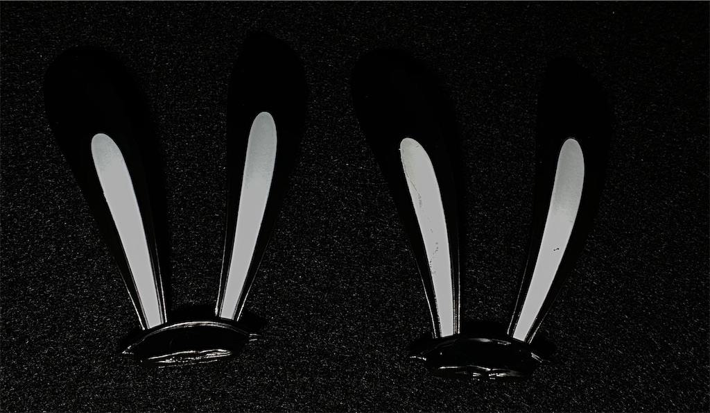 f:id:fg_yanagi:20201009223901j:image