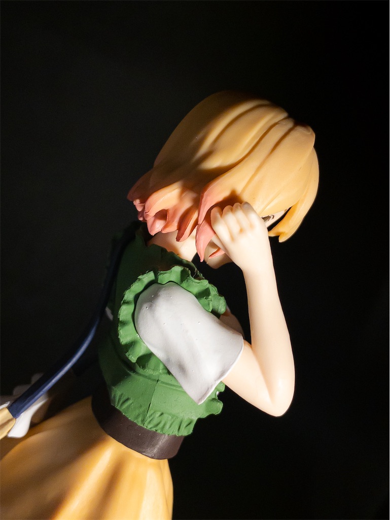 f:id:fg_yanagi:20201221192303j:image