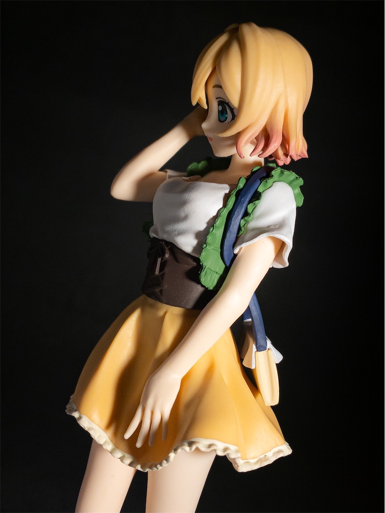 f:id:fg_yanagi:20201221192331j:image