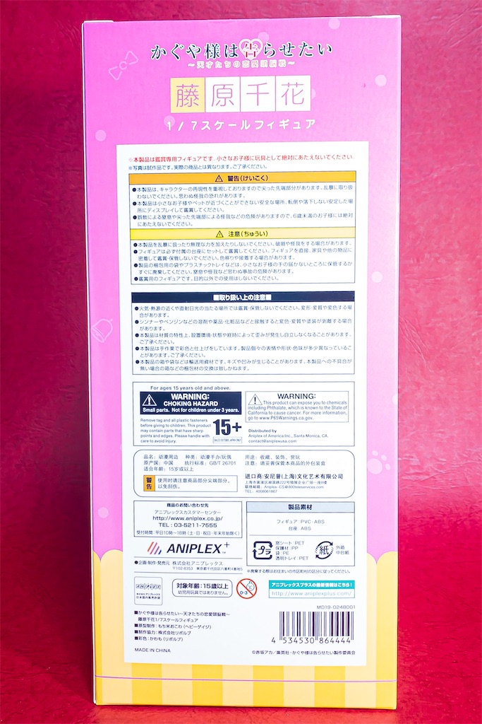 f:id:fg_yanagi:20210111021239j:image