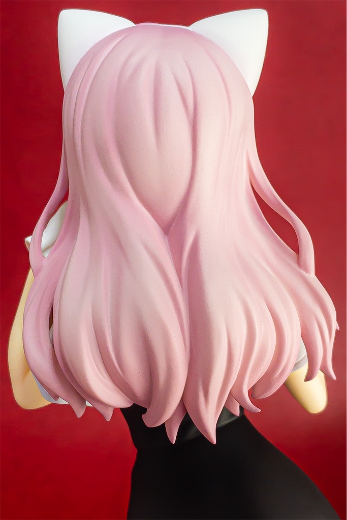 f:id:fg_yanagi:20210111211347j:image