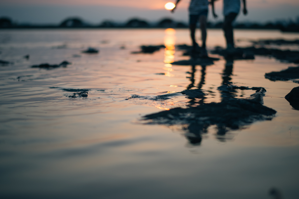 f:id:fhonda:20180713002445j:plain