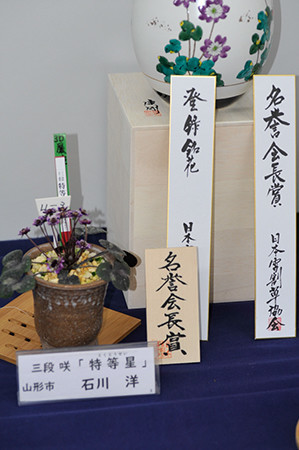 f:id:fhtakei:20190223192813j:plain