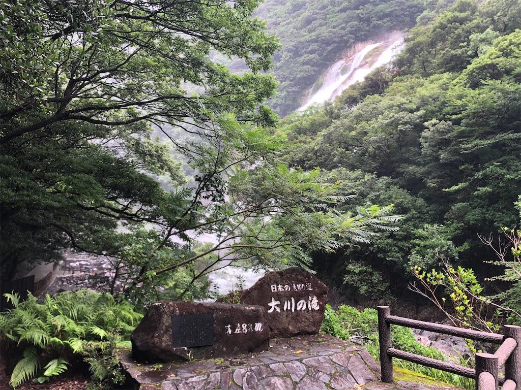 f:id:ficedula:20220107210309j:image