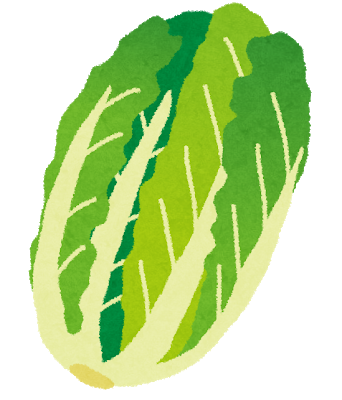 白菜の再生栽培を試みる ネコ様の生き方に学べ