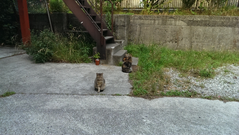f:id:fiction-life:20130602191836j:image