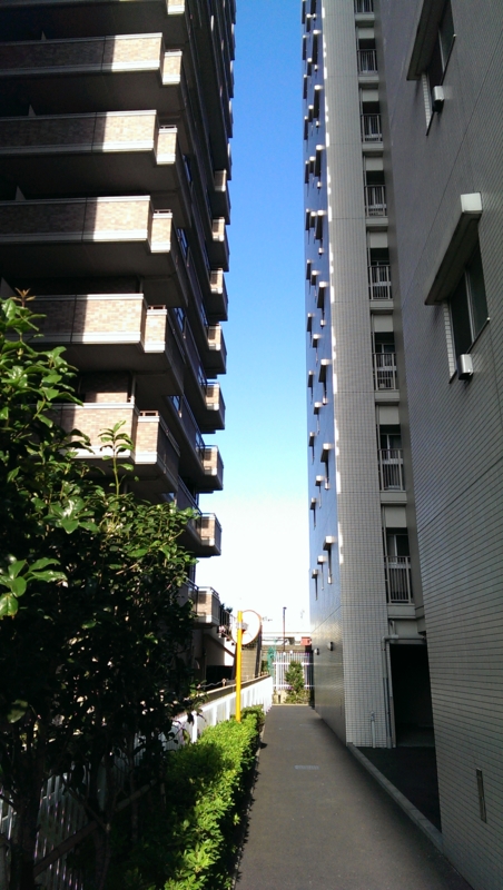 f:id:fiction-life:20130602192006j:image:w640:left