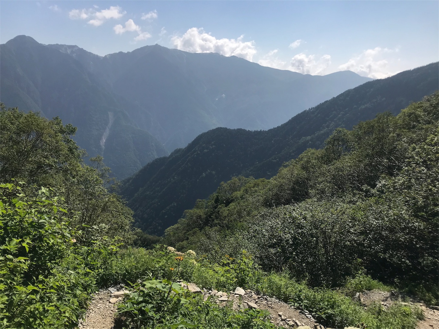 f:id:fictipnal_world:20180804182403j:image f:id:fictipnal_world:20180804182403j:image