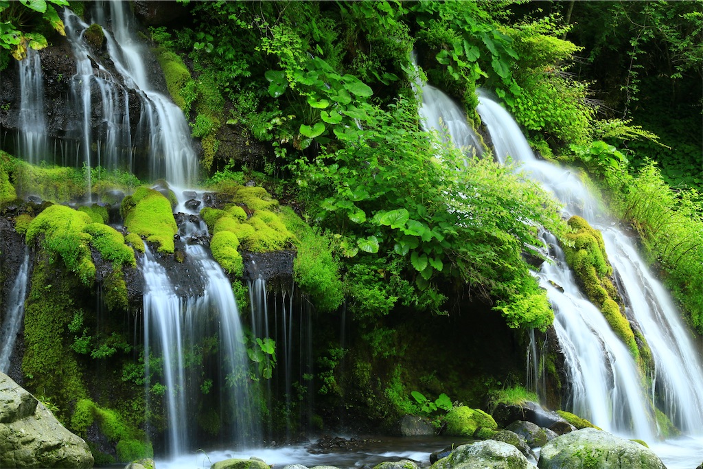 f:id:fictipnal_world:20220723163552j:image