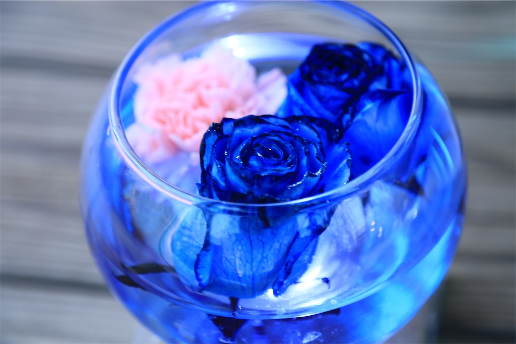 f:id:fictipnal_world:20230106204648j:image