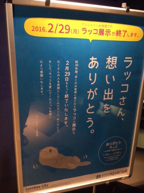 f:id:fiddle-stick:20160207115250j:image