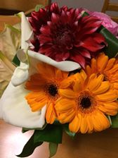 f:id:fieldofwings:20170309171944j:plain