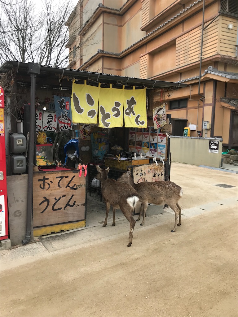 f:id:fifthruru:20220128174957j:image f:id:fifthruru:20220128174957j:image