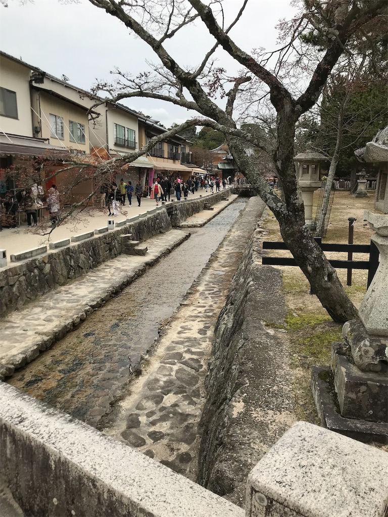 f:id:fifthruru:20220129112015j:image f:id:fifthruru:20220129112015j:image