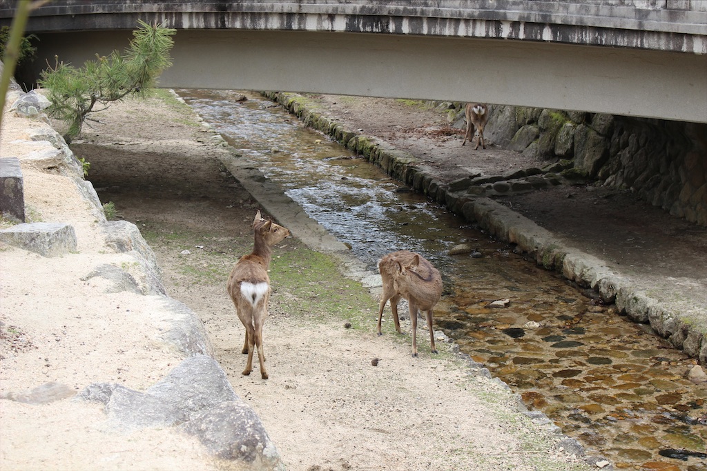 f:id:fifthruru:20220129112019j:image f:id:fifthruru:20220129112019j:image