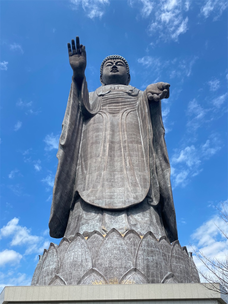 f:id:fifthruru:20220203103656j:image f:id:fifthruru:20220203103656j:image