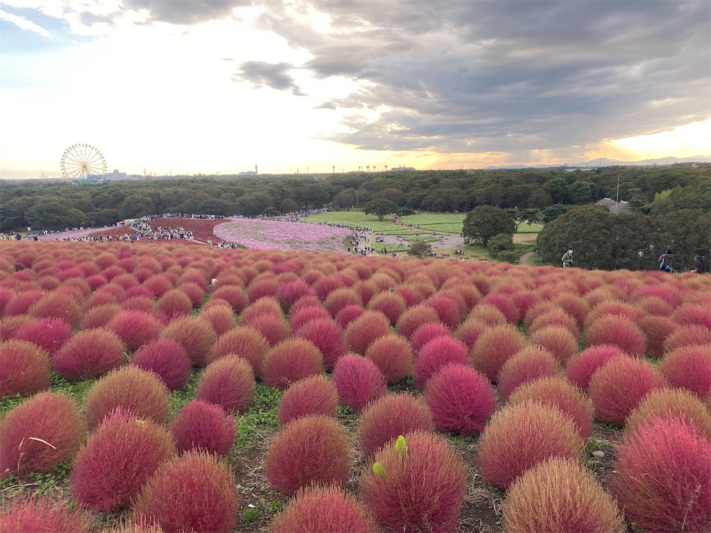 f:id:fifthruru:20220203103739j:image f:id:fifthruru:20220203103739j:image